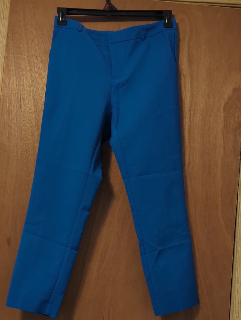 Classic Women's Tailored Blue Pants
